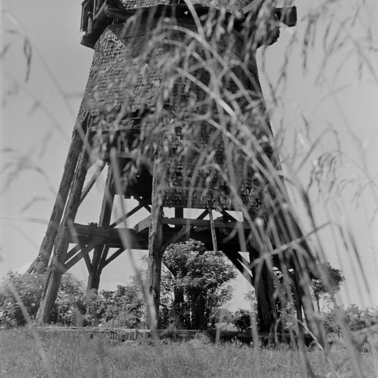 _MG_7608 (1) _MG_7608 (1)